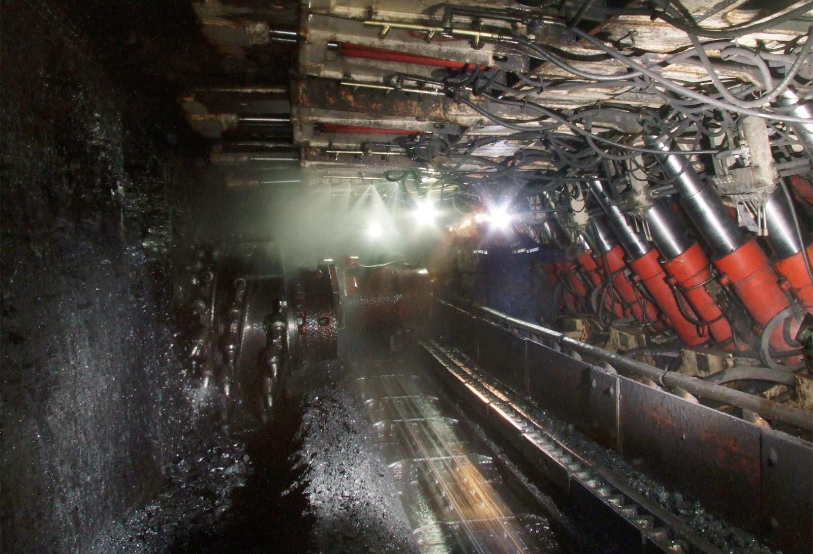 1554973551427417.jpg timg (3).jpg